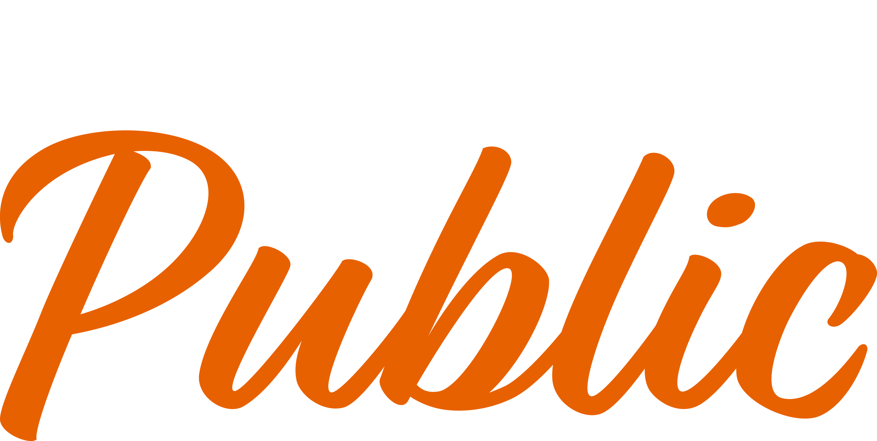 Graphic text design featuring the word “ Opening doors to the Public” in large orange script font on a white background.