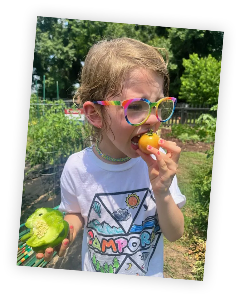 A young child with rainbow-framed glasses and a colorful Camp Orion t-shirt bites into a small yellow tomato while holding a half-eaten green bell pepper. The child stands in a lush vegetable garden on a sunny day.