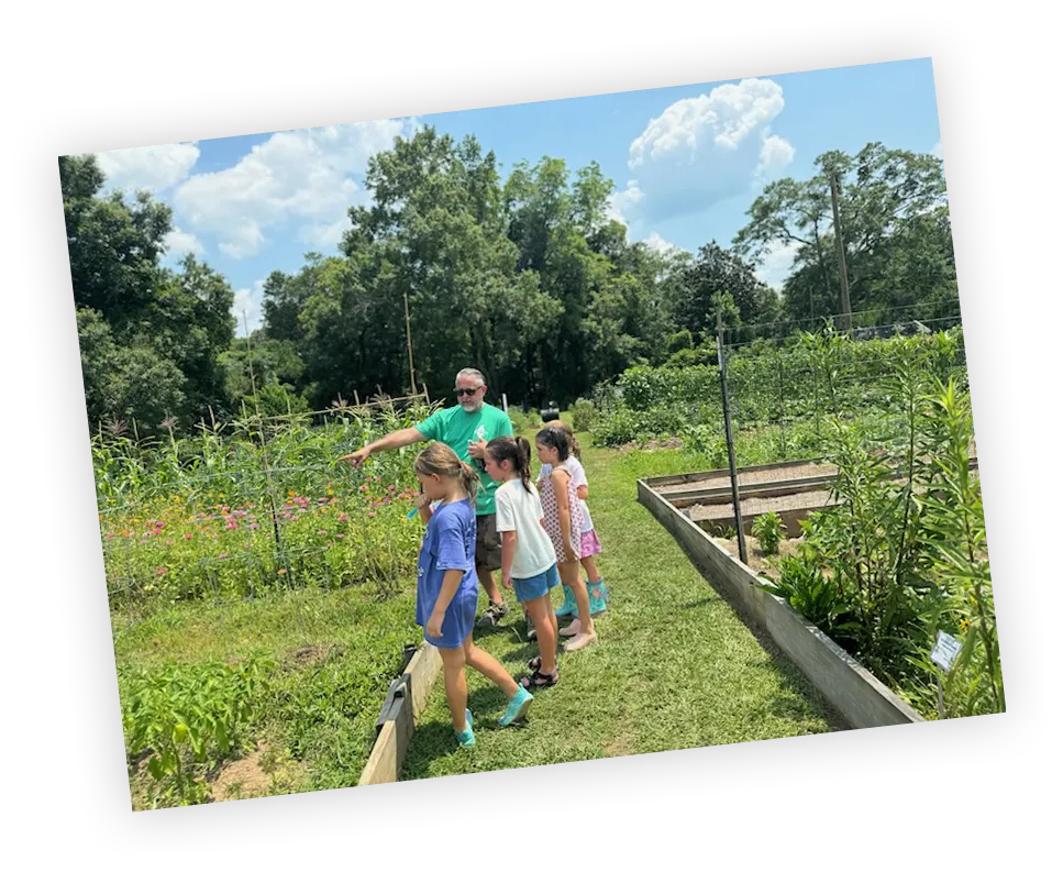 A man in a green shirt gestures toward a garden bed while leading a group of four children through a lush outdoor garden. The children observe the plants closely under a bright blue sky with scattered clouds and surrounding trees.